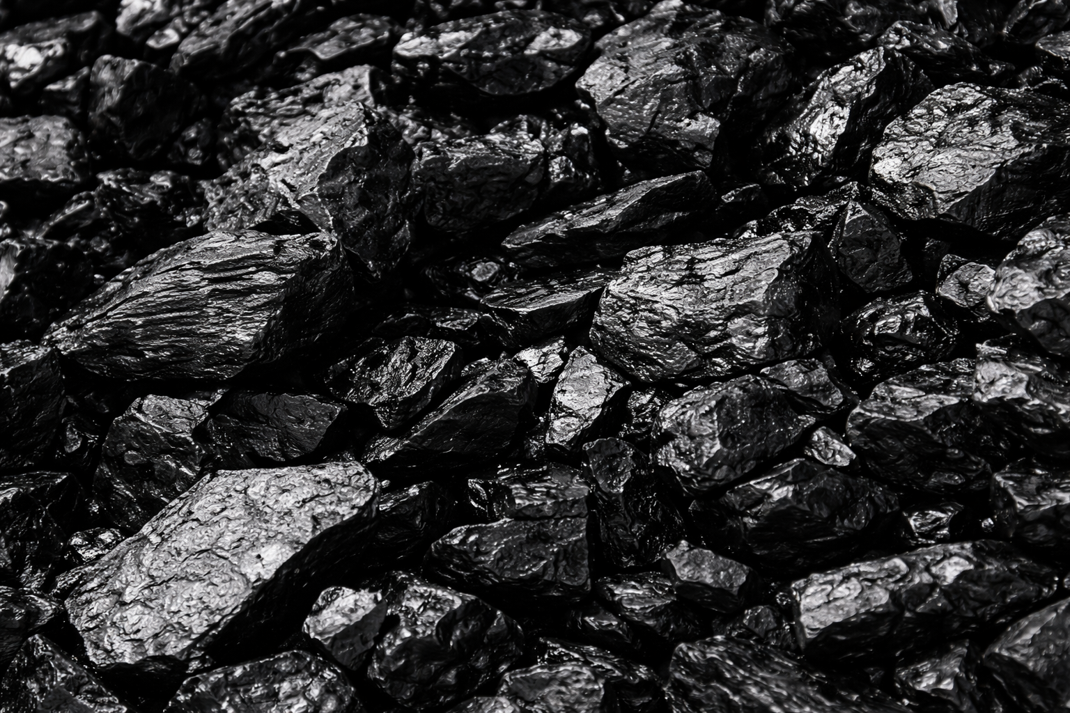 coal Trading